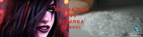 индика Белоозёрский